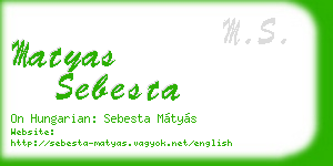 matyas sebesta business card