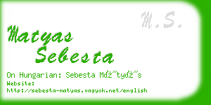 matyas sebesta business card